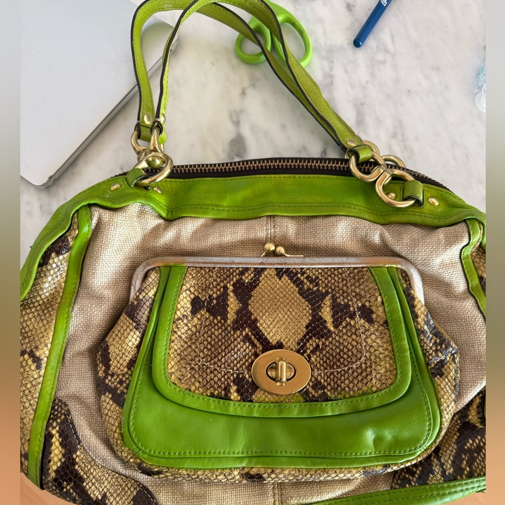 Green and Brown Snake Print Women's Bag